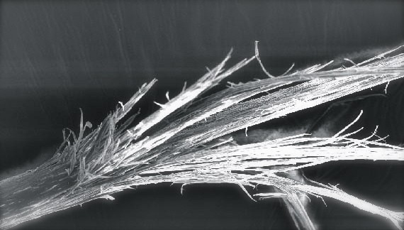 chem_damaged_hair-2